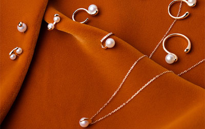 Drosera(ドロセラ)