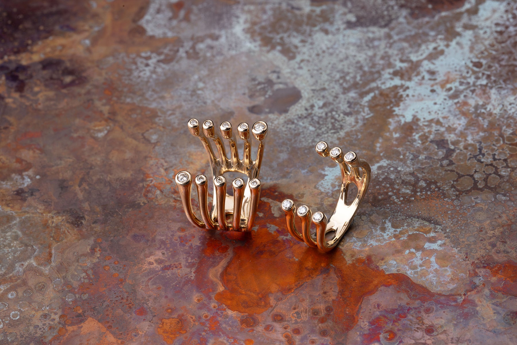 DROSERA / ドロセラ