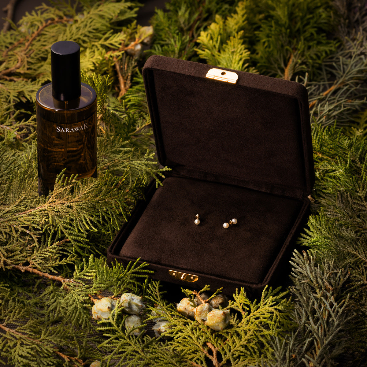 2025 LIMITED EDITION【HOLIDAY COFFRET】 HONEY ANT アコヤパール ピアス