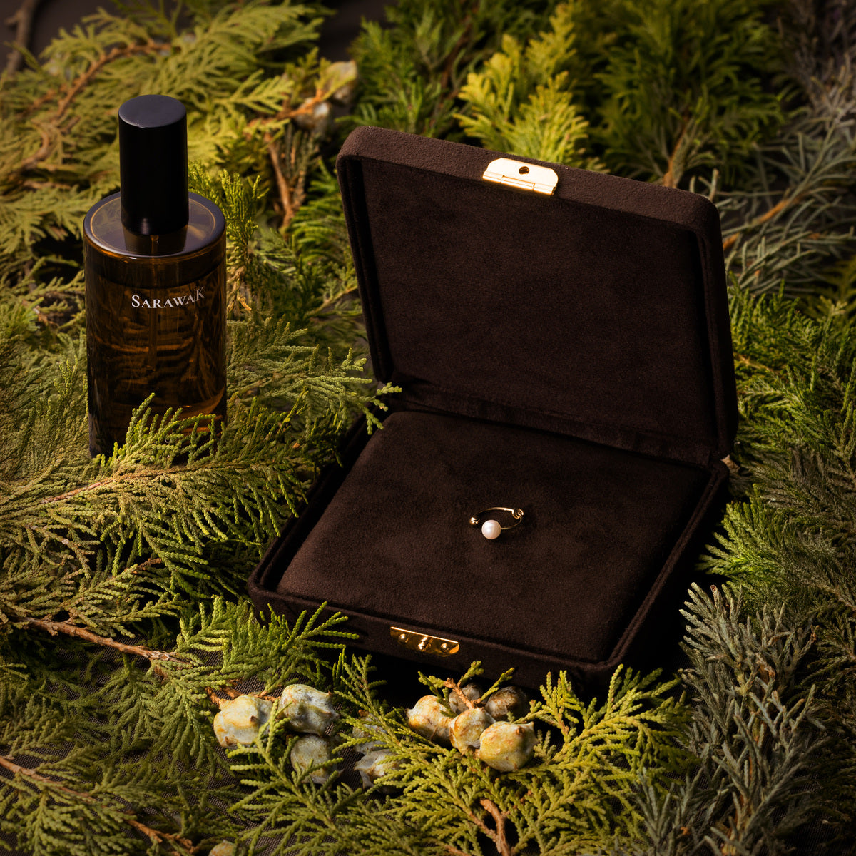 2025 LIMITED EDITION【HOLIDAY COFFRET】HONEY ANT アコヤパール イヤーカフ