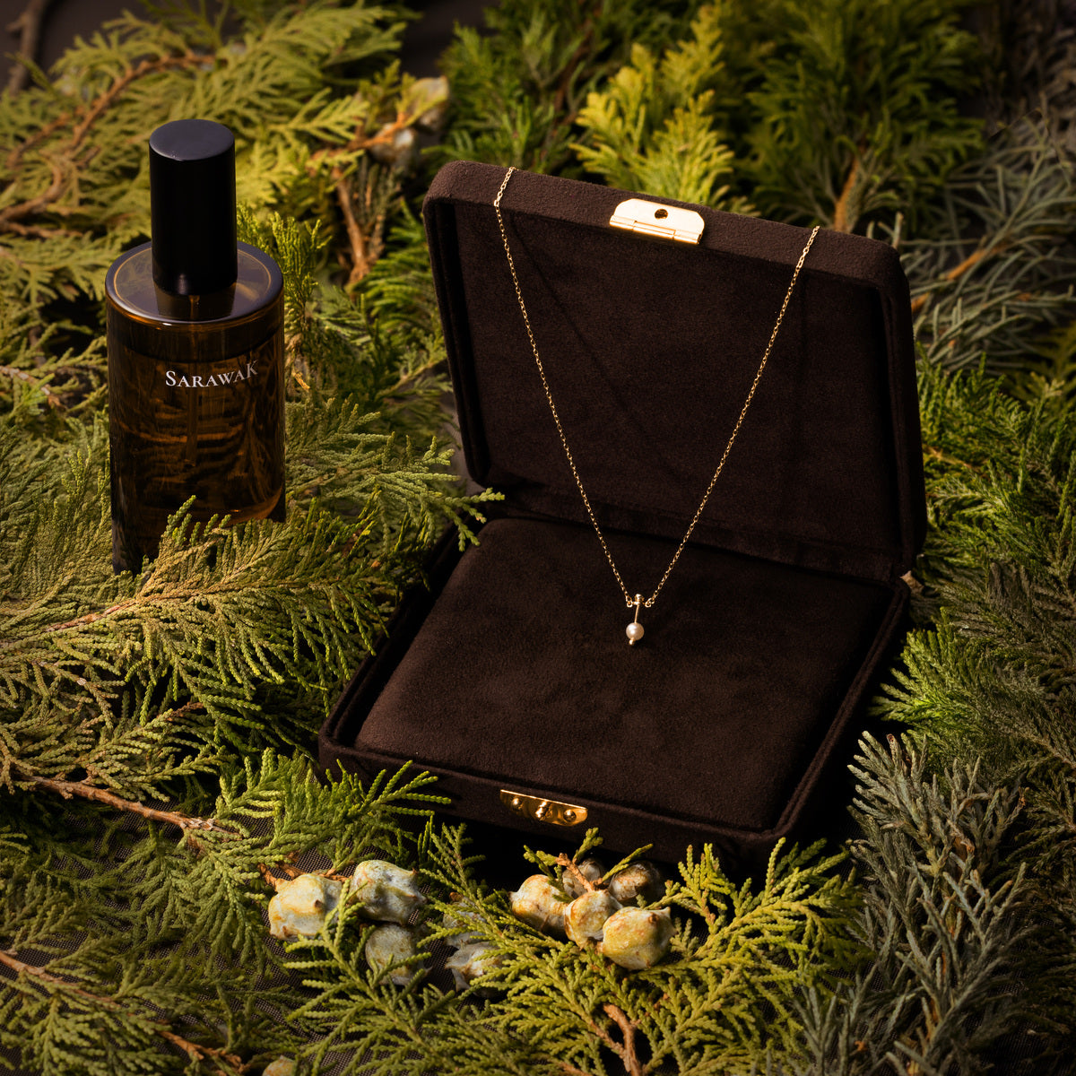 2025 LIMITED EDITION【HOLIDAY COFFRET】HONEY ANT アコヤパール ネックレス